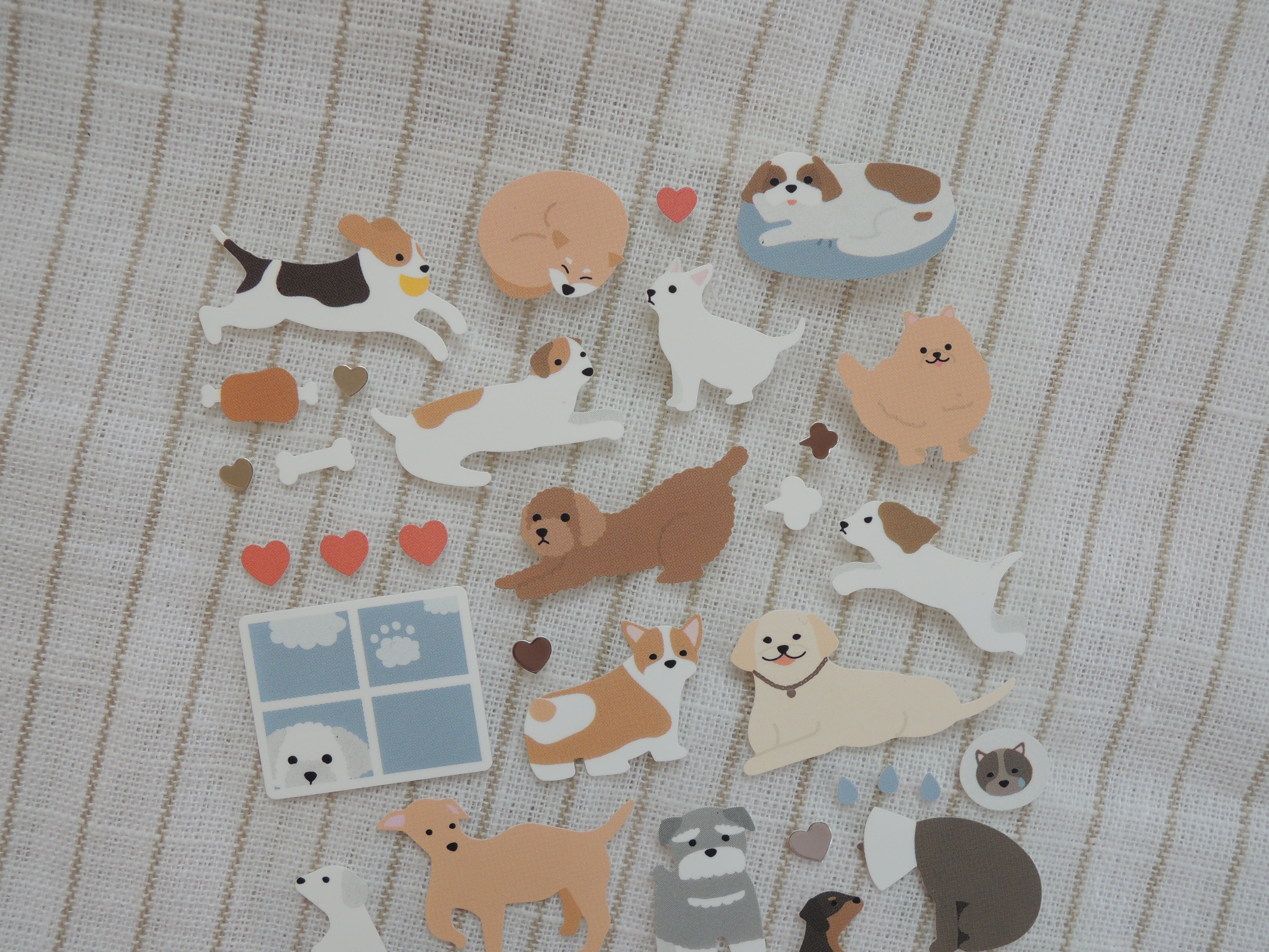 Stickers - Daily déco - Arrr - 1073