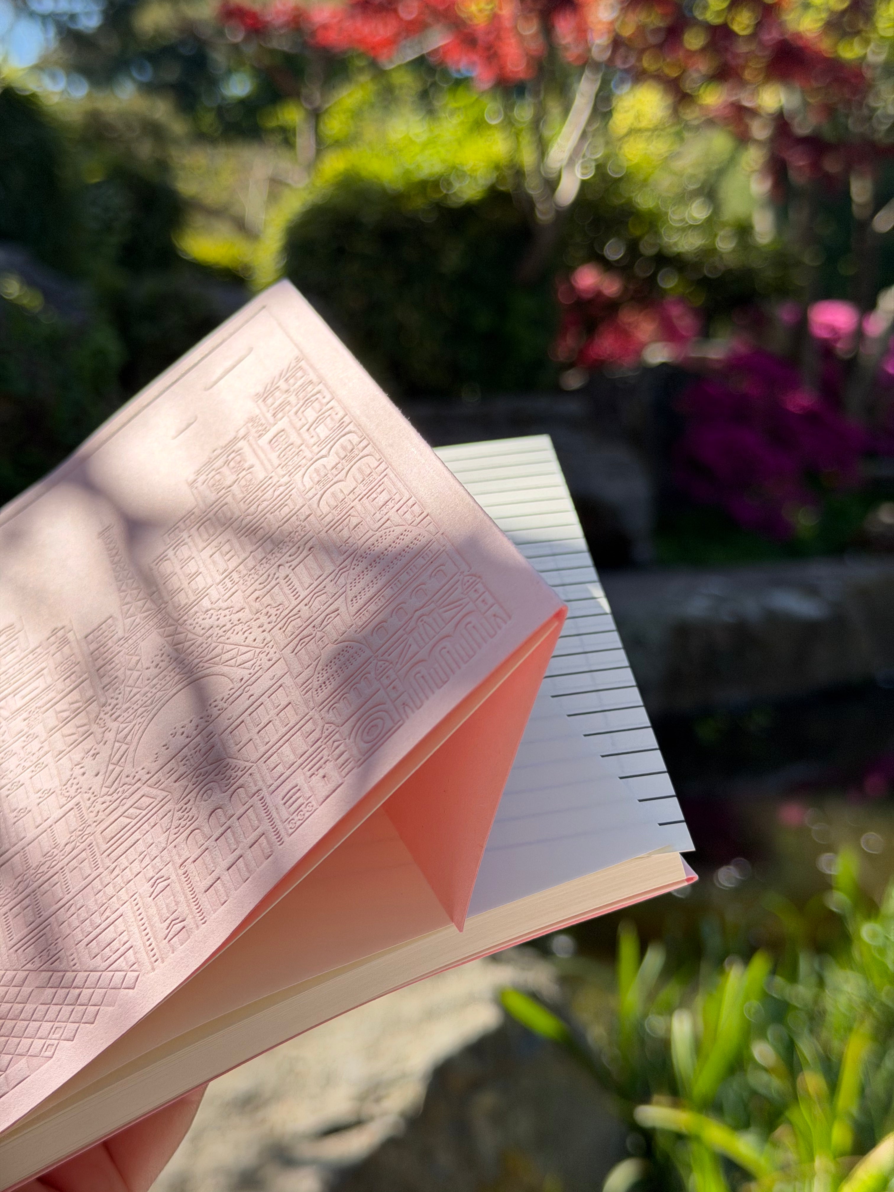 PARIS notebook - B6 - Rose