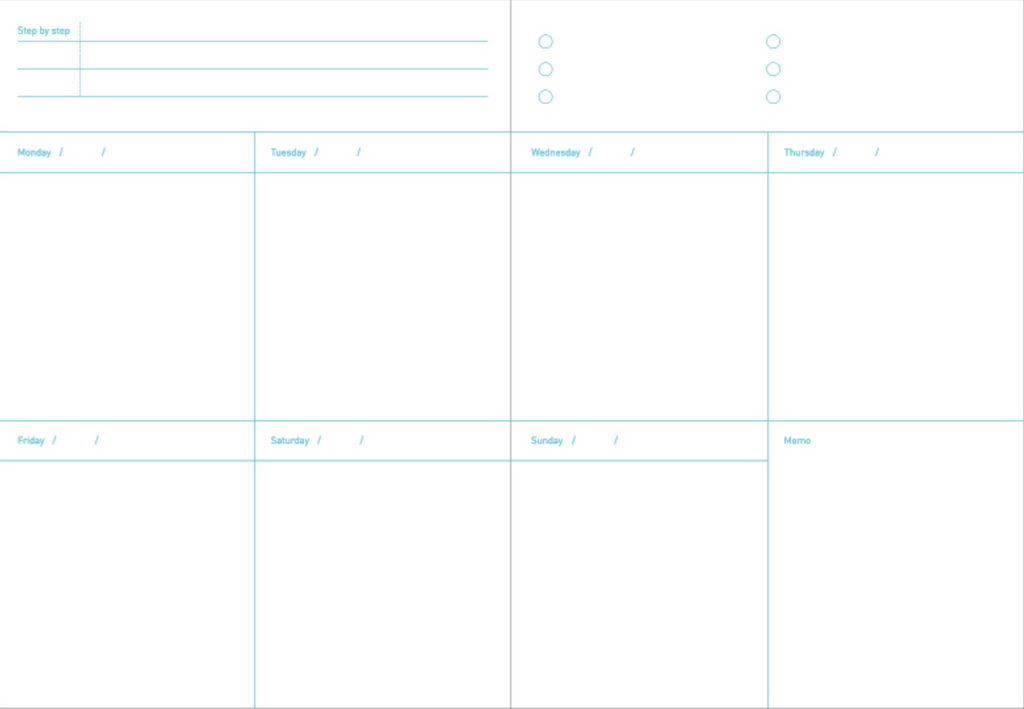 Agenda B6 - Planner 6 mois non daté - One third cat diary - Orange