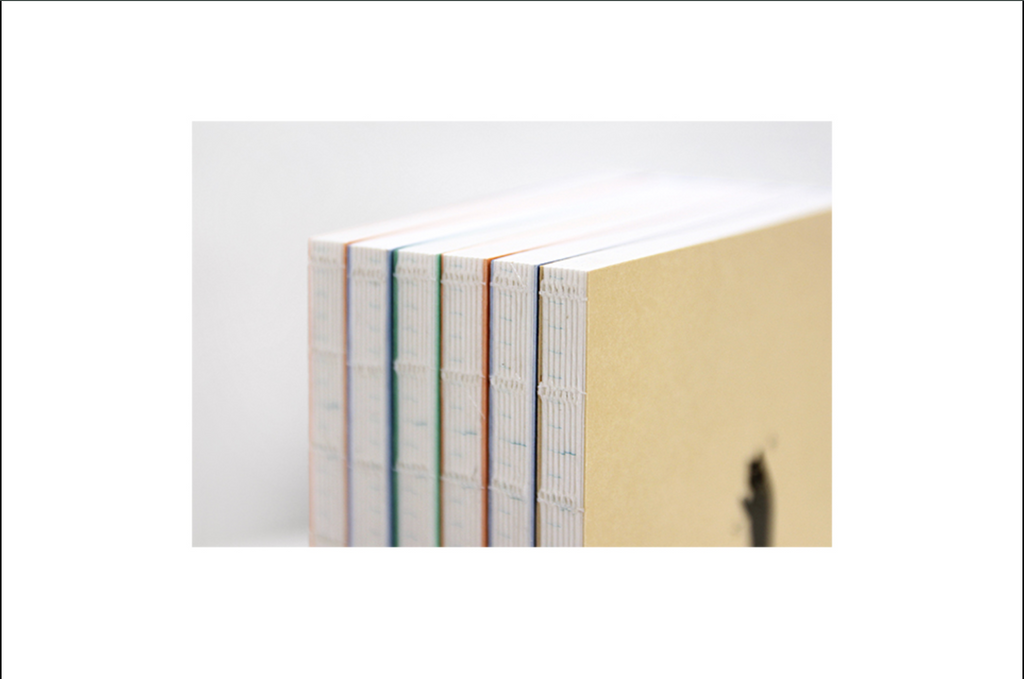 Agenda B6 - Planner 6 mois non daté - One third cat diary - Orange