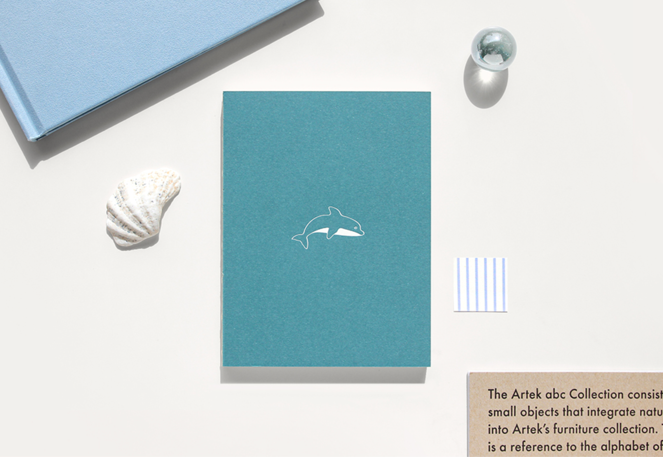 Carnet - Save me notebook - A6 - Dauphin - Bleu ciel